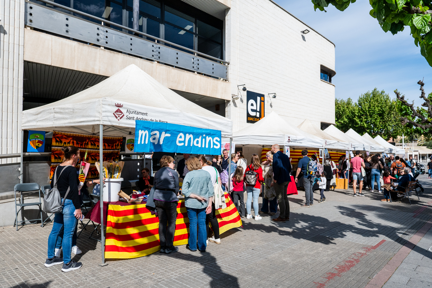Intercanvi i adopció de llibres per a joves