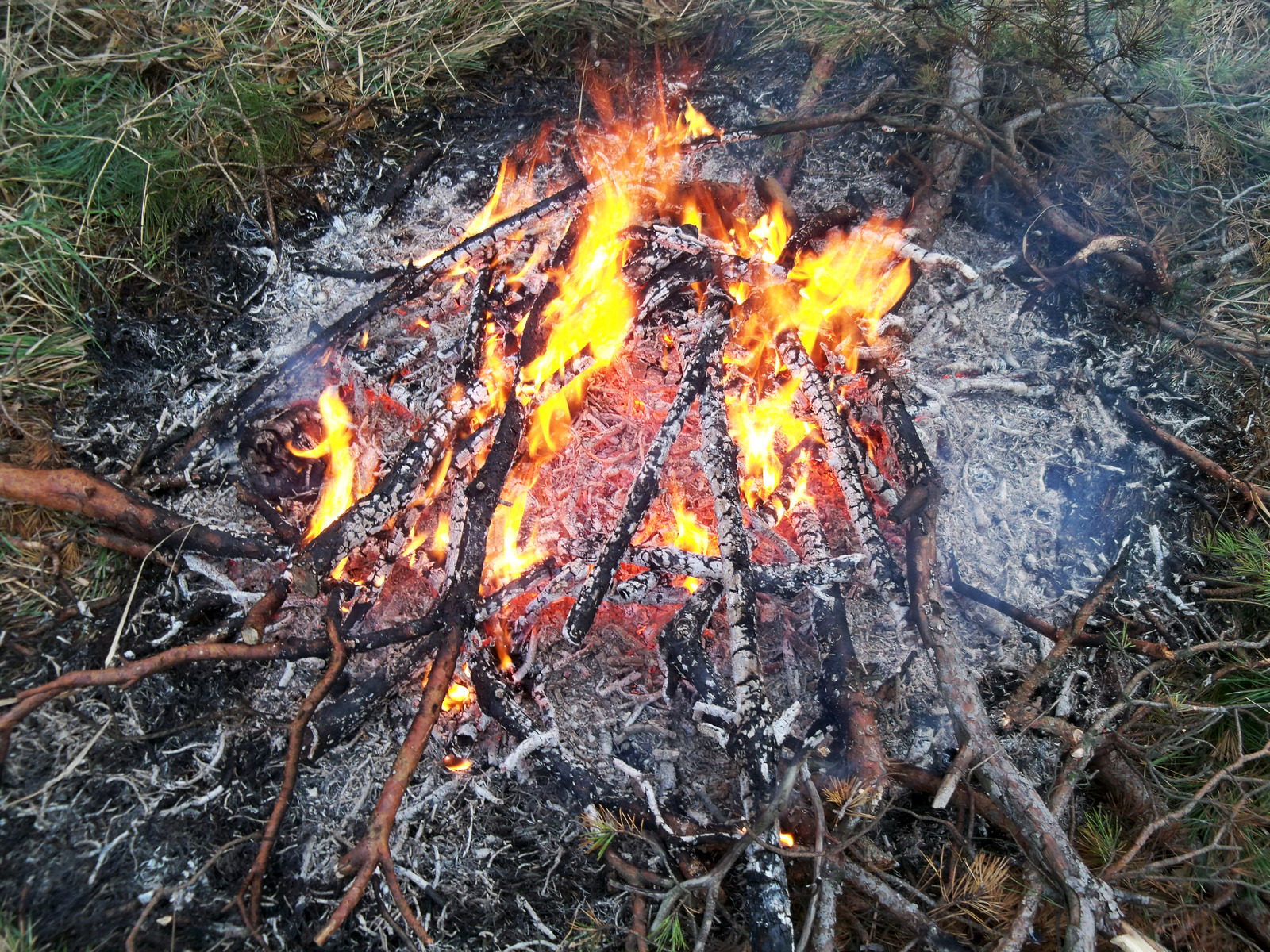 Comença la prohibició de fer foc al bosc 