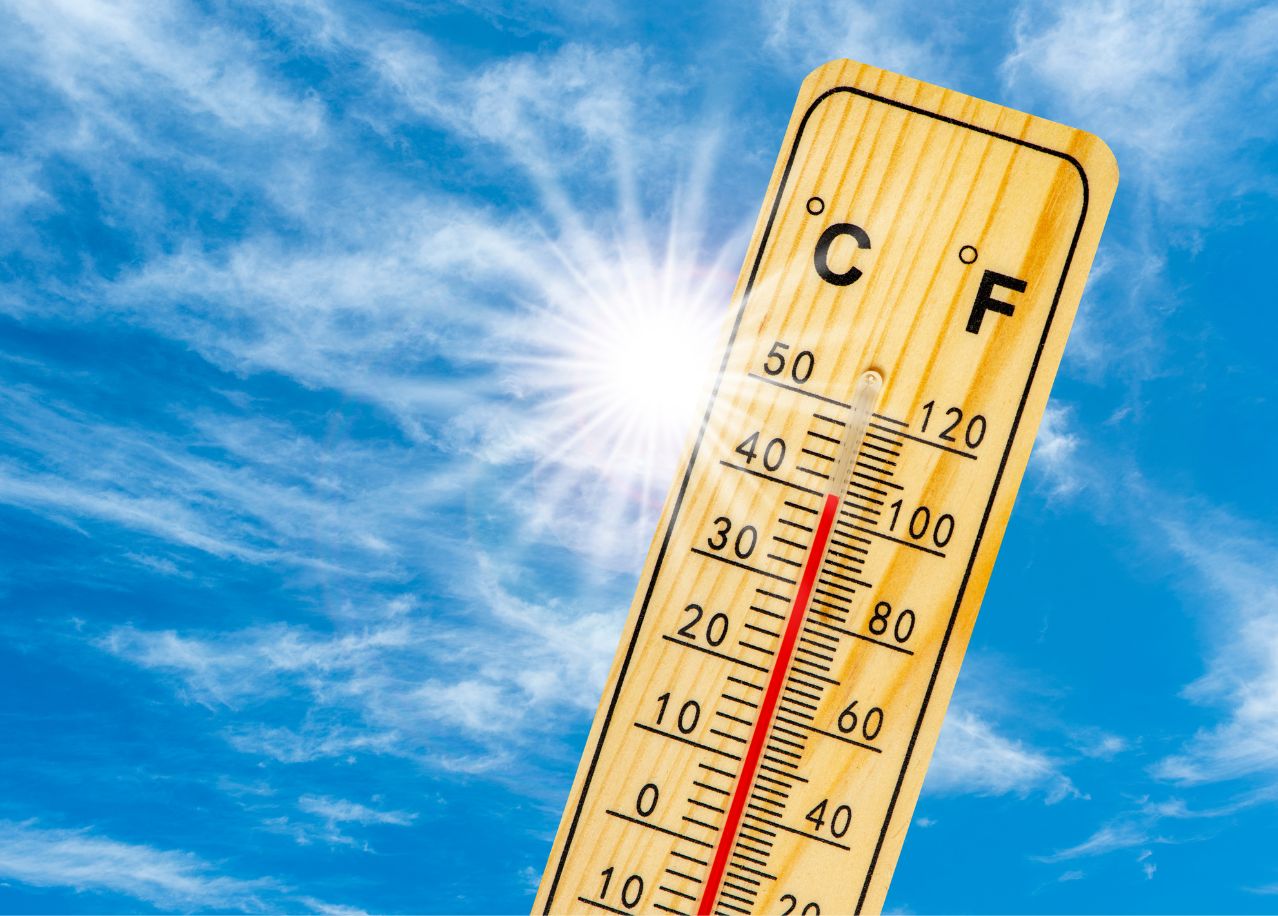 Imatge de la notícia: Recomanacions per a combatre la calor intensa